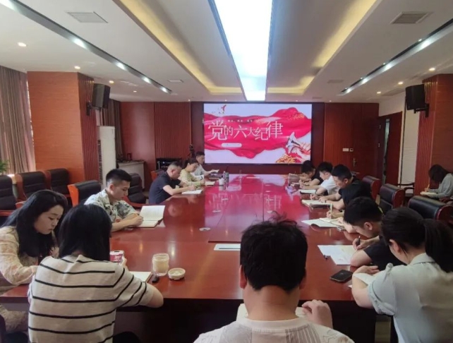 恪守“六大紀(jì)律”，筑牢思想根基--市古鎮(zhèn)投資公司行政黨支部組織開展黨記學(xué)習(xí)教育專題黨課
