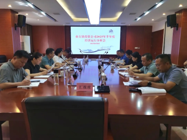 市古鎮(zhèn)投資公司召開(kāi)2025年半年度經(jīng)濟(jì)運(yùn)行分析會(huì)